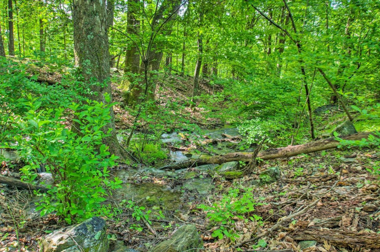 Renovated Studio On 5 Acres - Near Vineyards! Crozet 외부 사진